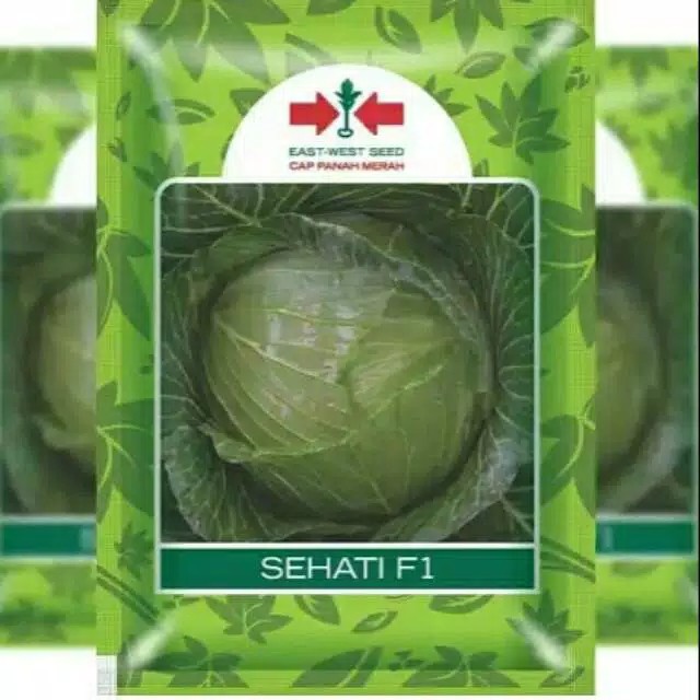 Jual BIBIT BENIH TANAMAN SAYUR SAYURAN HIDROPONIK KOL / KUBIS SEHATI ...