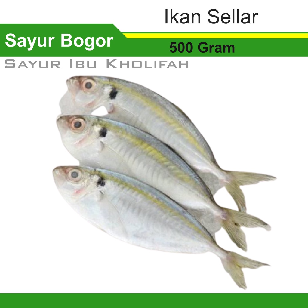 Jual Ikan Selar Kuning Gram Ikan Hasil Laut Segar Bogor Freshmart