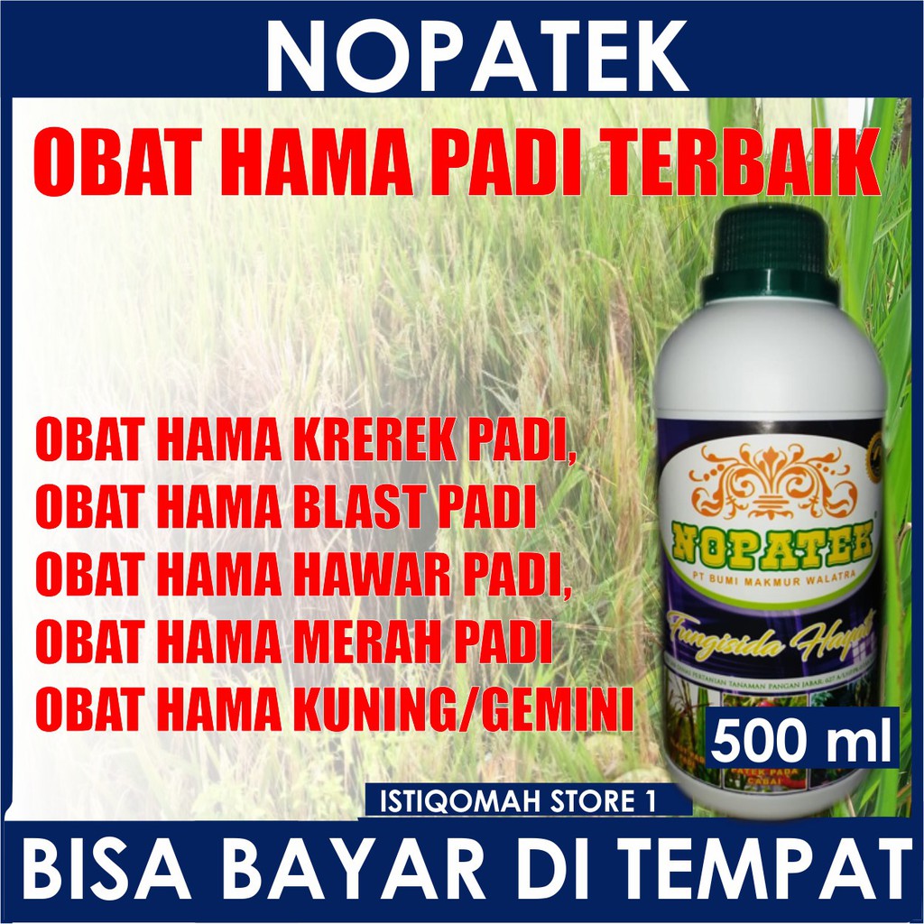 Jual Obat Hama Padi Merah Daun Nopatek Fungisida Hayati Nopatek Obat