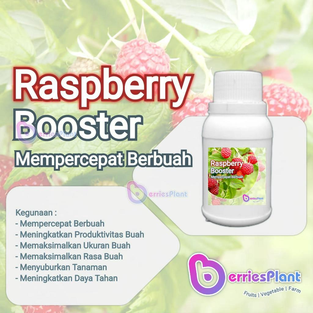 Jual Booster Raspberry SUPER | Mempercepat Berbuah | Perangsang Bunga ...