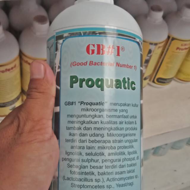 Produk pkmultyfarm | Shopee Indonesia
