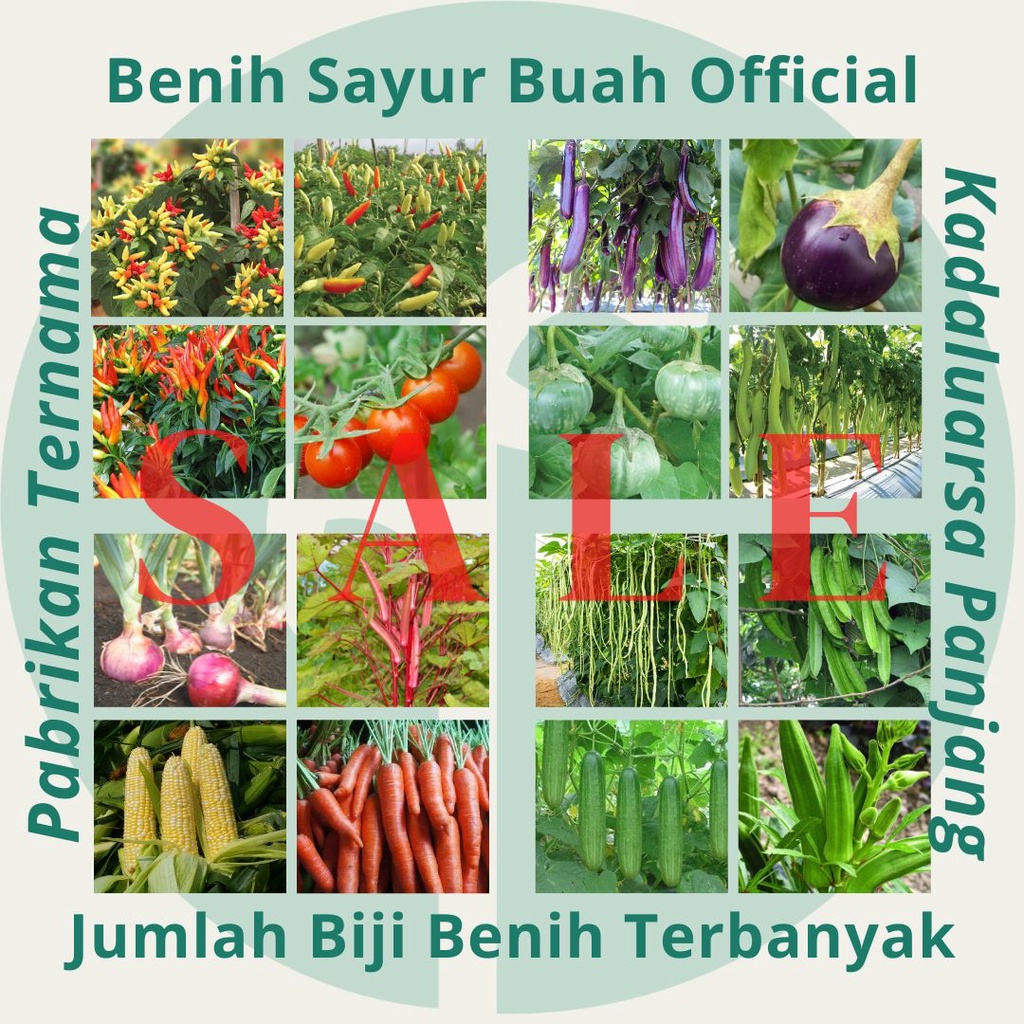 Jual Benih Official Store Bibit Sayuran Benih Sayur Buah Hibrida Unggul ...