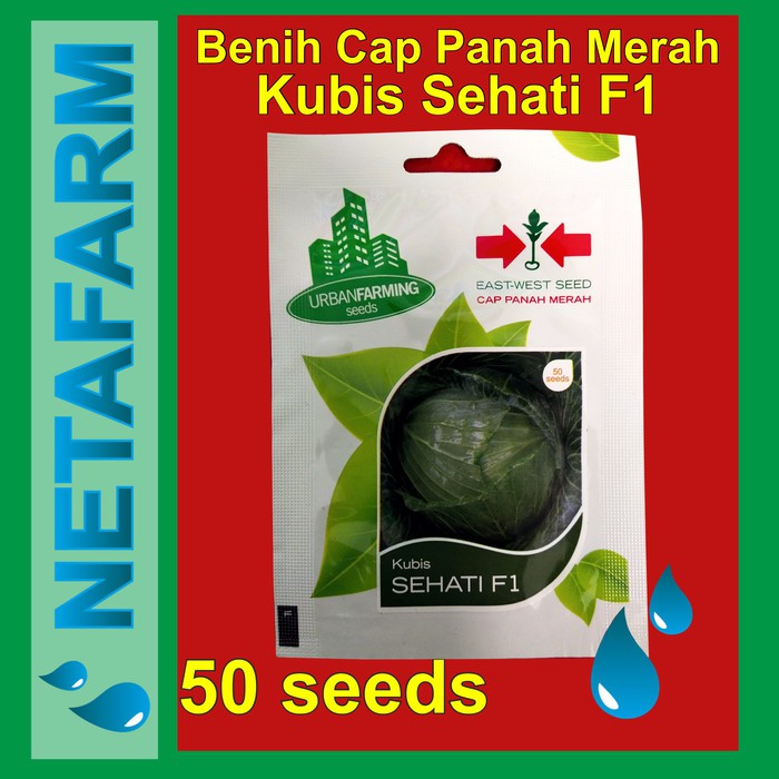 Jual Benih Kubis SEHATI F1 - Cap Panah Merah / East West Seed ( 50 ...