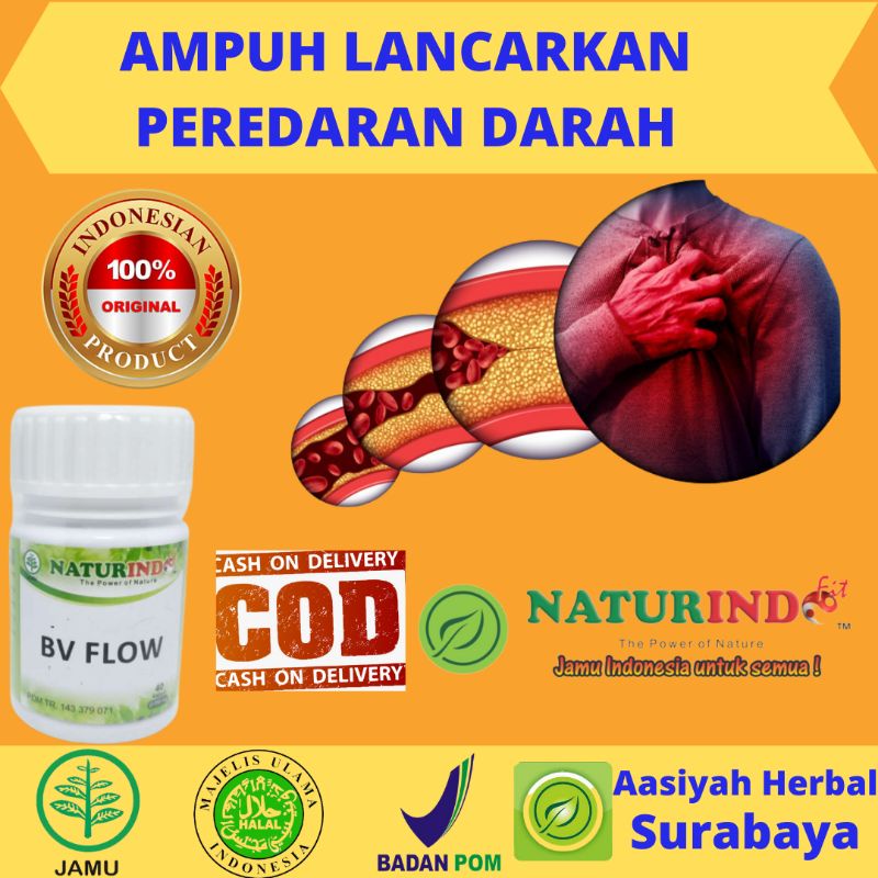 Jual Bv Flow Obat Penyumbatan Pembuluh Darah Kolesterol Lemak Jenuh Tinggi Lemak Darah Tinggi 6291