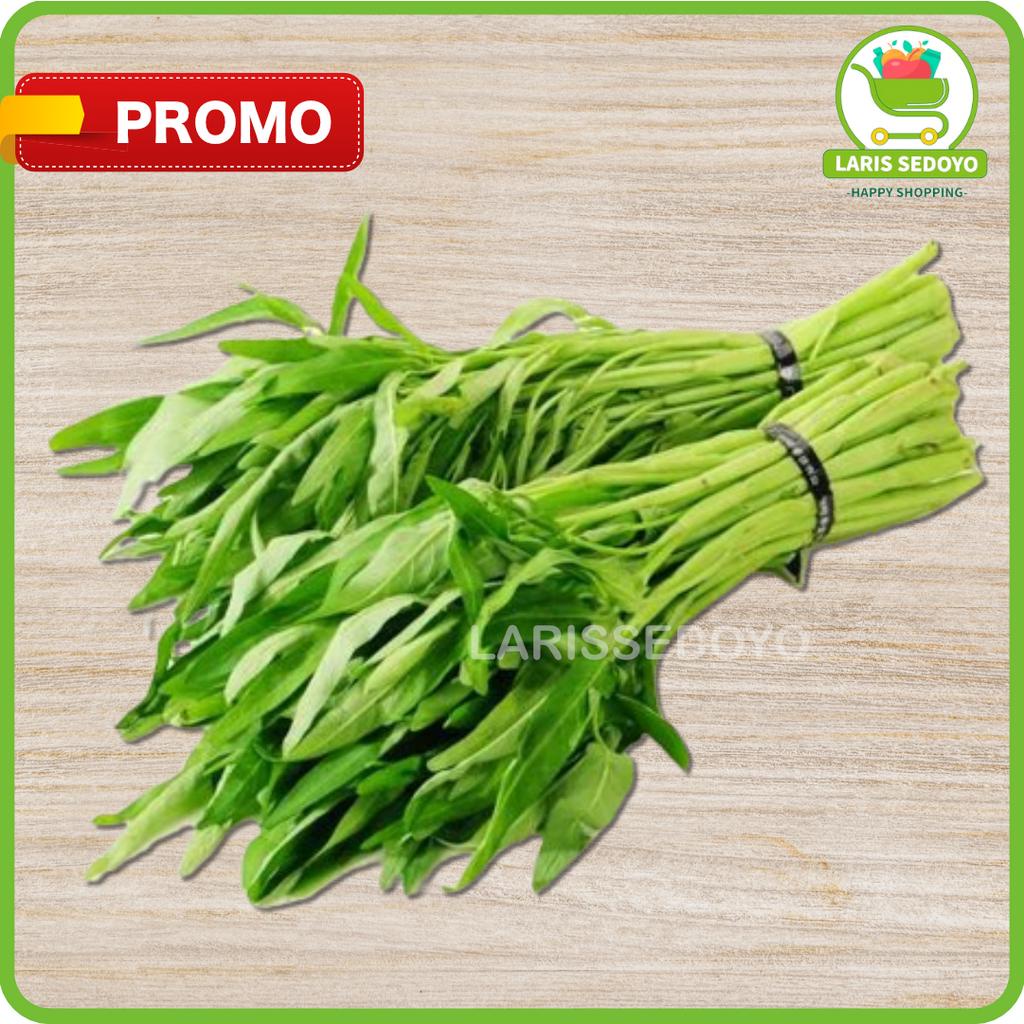 Jual Kangkung Sayur Segar 1 Ikat Sayuran Jakarta Shopee Indonesia