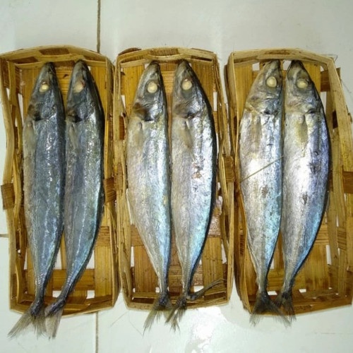 Jual Ikan Bandeng Presto Ikan Cue Keranjang Pindang Ikan Tongkol