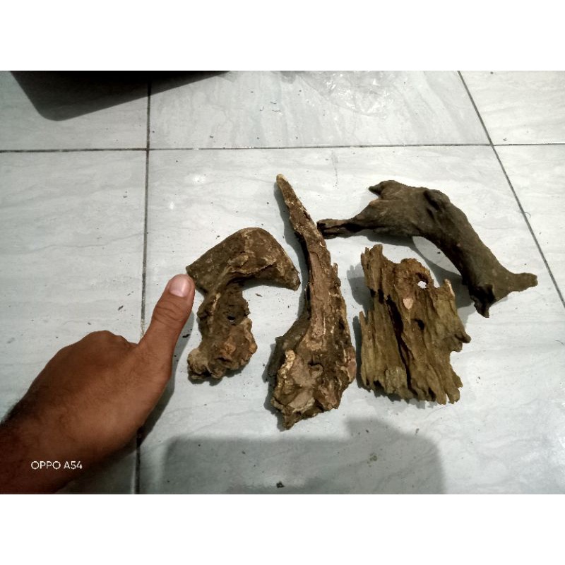 Jual Kayu rentek size S | Shopee Indonesia