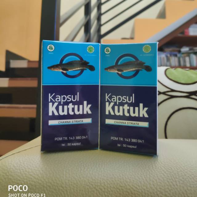 Jual KAPSUL KUTUK (chana Striata) | Shopee Indonesia