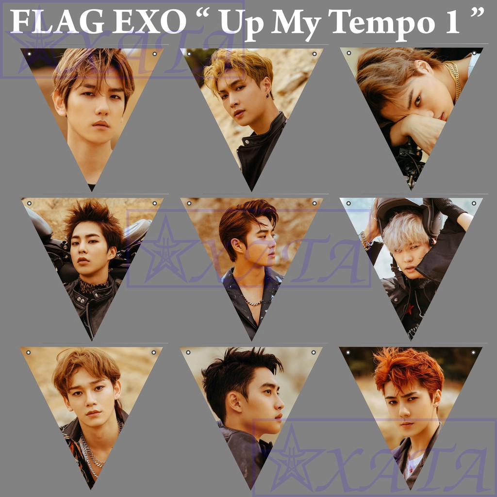 Jual [READY STOCK] Flag EXO Plus Tali Kpop Murah | Shopee Indonesia