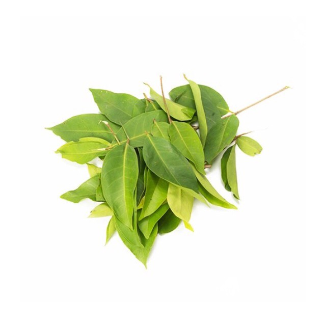 Jual Sayur Segar Daun Salam Bay Leaf Gr Shopee Indonesia