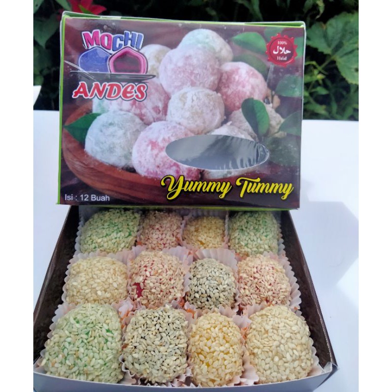 Jual kue_mochi varian rasa bertabur wijen isi 12 biji besar | Shopee ...