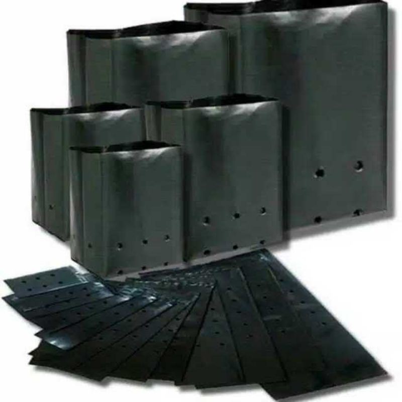 Jual Polybag Semua Ukuran 1/2 kg | Shopee Indonesia