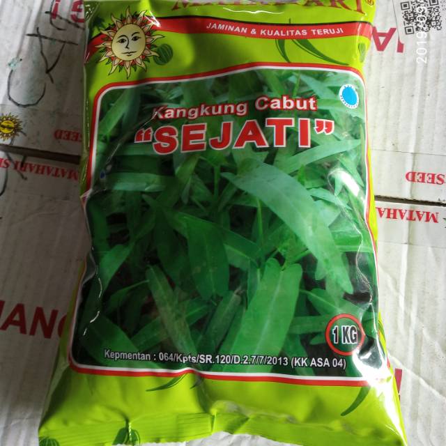 Jual (Good Farming) Stok Selalu Baru Benih Kangkung Cabut Sejati ...