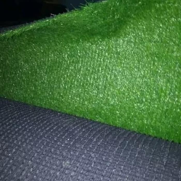 Jual Karpet Rumput Sintetis 10mm 25x25 cm | Shopee Indonesia