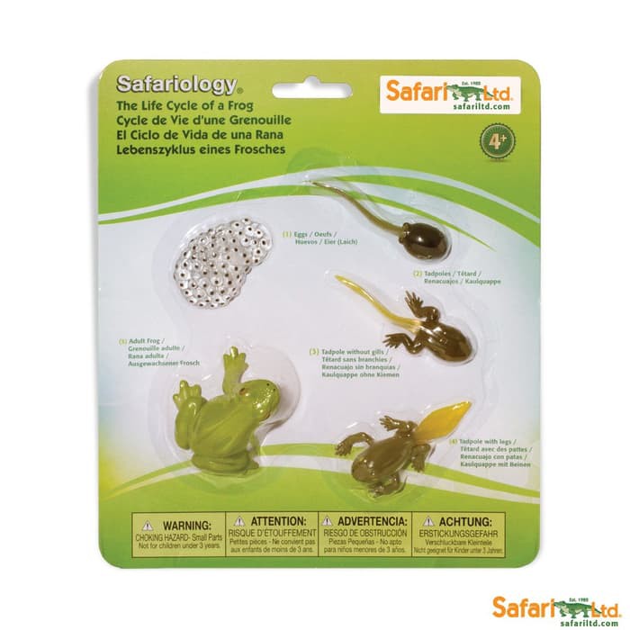 Jual Safari Ltd - Life Cycle of A Frog Set | Shopee Indonesia