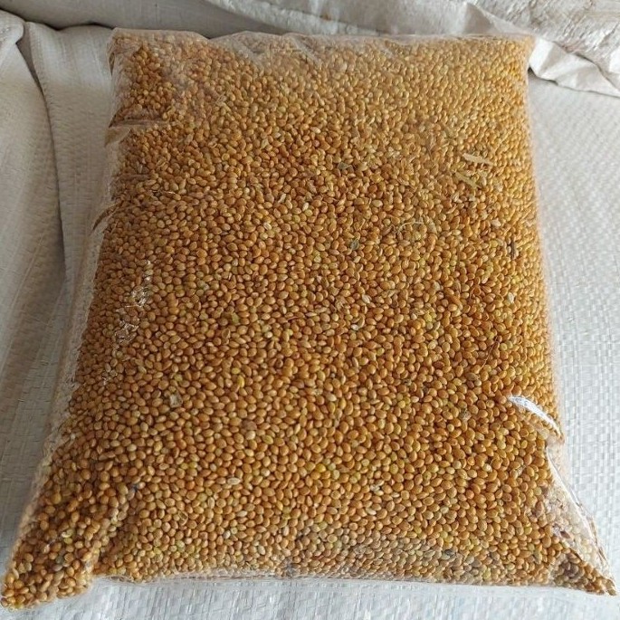 Jual MILET KUNING 20 kg | Shopee Indonesia