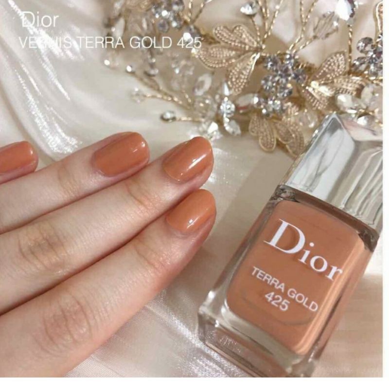 Dior 2025 terra gold