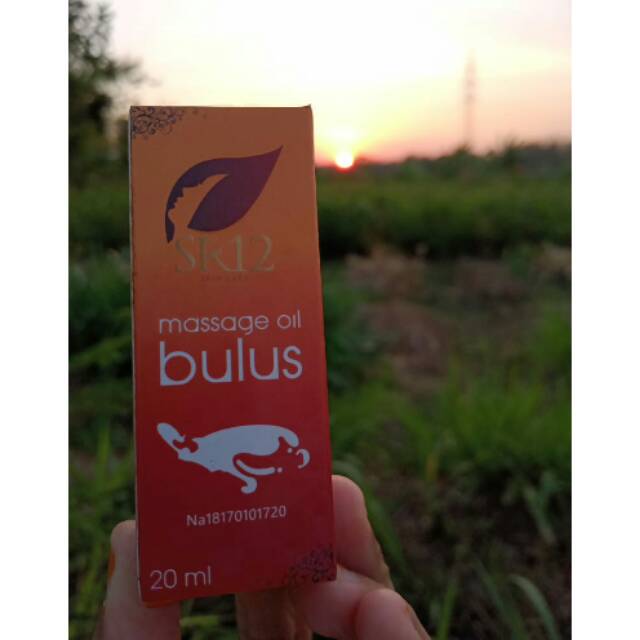 Jual Message oil bulus | Shopee Indonesia