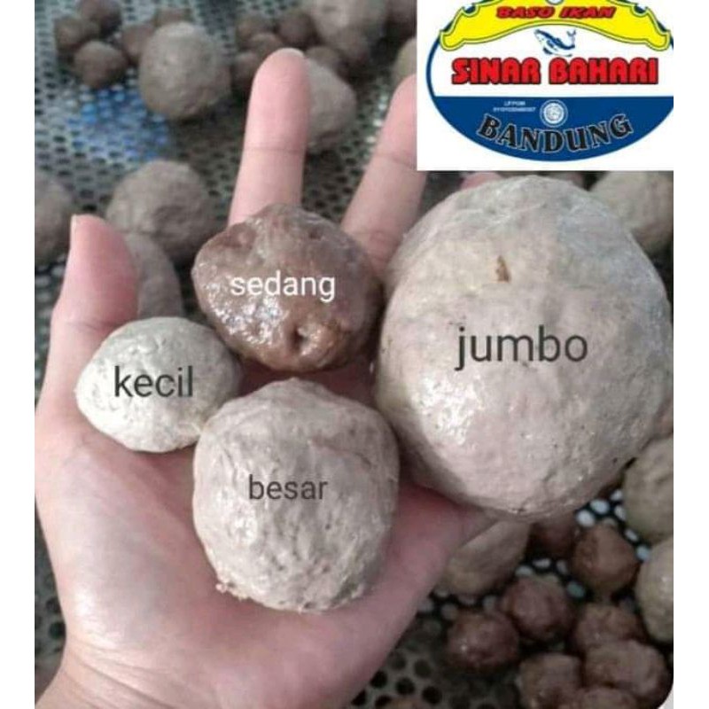 Jual Setengah ball baso jumbo/mohai/rudal | Shopee Indonesia
