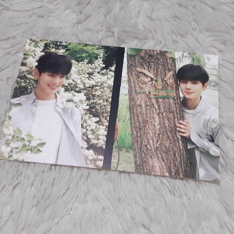 Jual Postcard Cha Eunwoo Astro (Aroha 1st Gen) | Shopee Indonesia