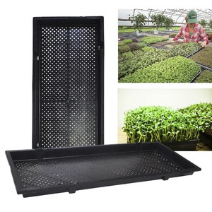 Jual Hidroponik GPR600-2 Tray Semai Padi 60x30x3.5 Cm (11524) | Shopee ...