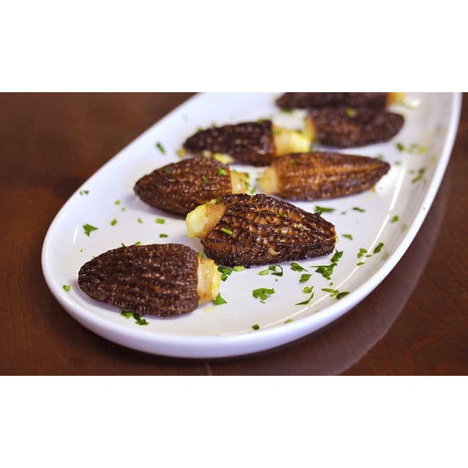 Jual Jamur Perancis France Dried Funghi Morel Mushroom 10 gr morel