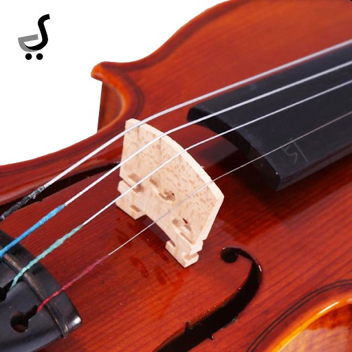 Jual Bridge Biola Violin Viola Kayu Maple Wood BRV-01 | Shopee Indonesia