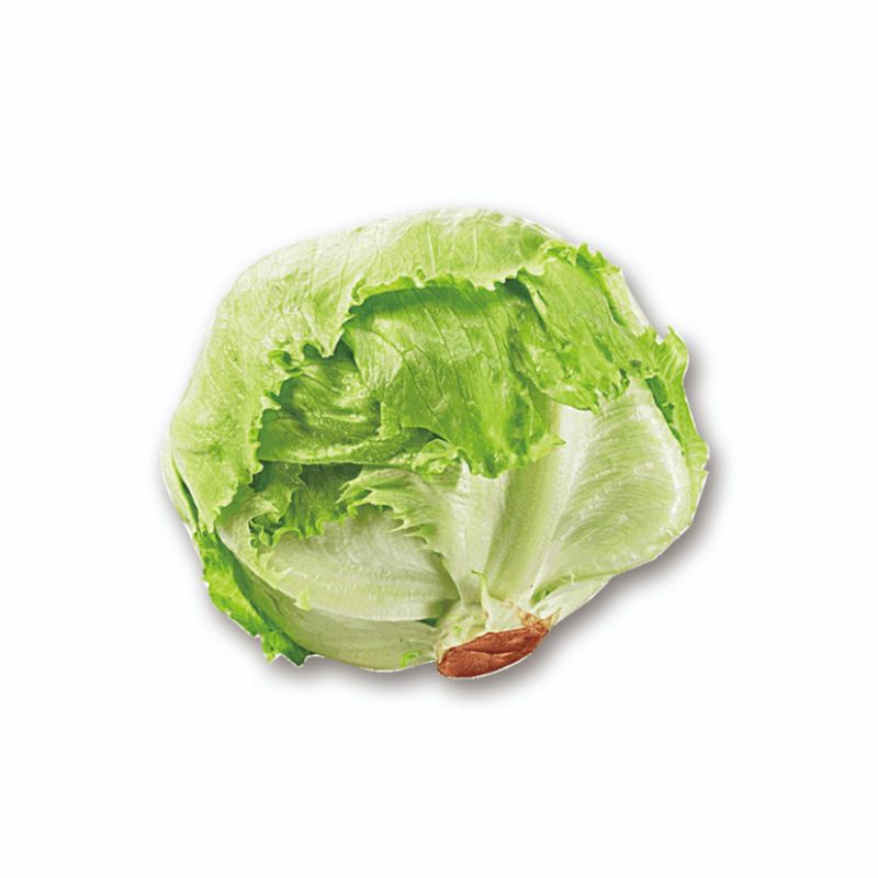 Jual Lettuce Head Sayur Lettus 1 Kg Shopee Indonesia