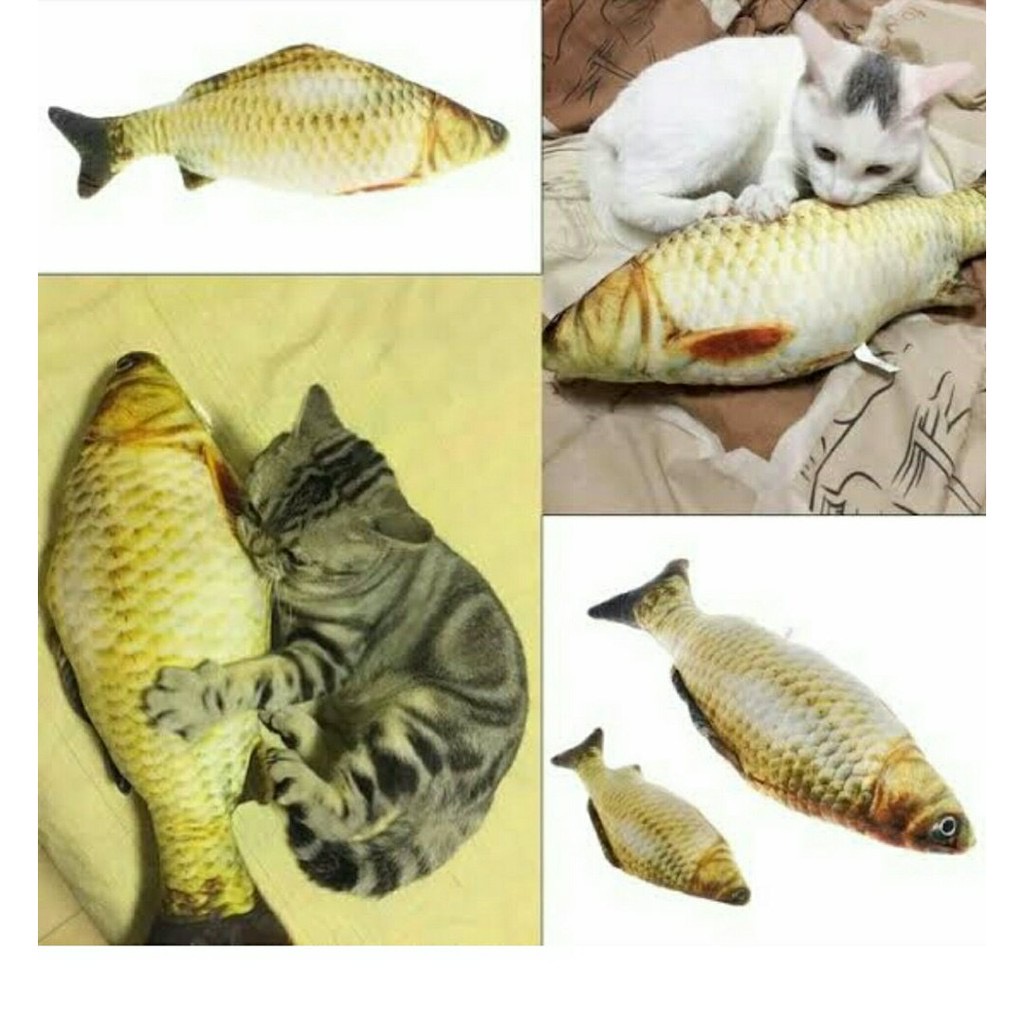 Jual Mainan Kucing Terlengkap & Harga Terbaru Juni 2026 | Shopee Indonesia