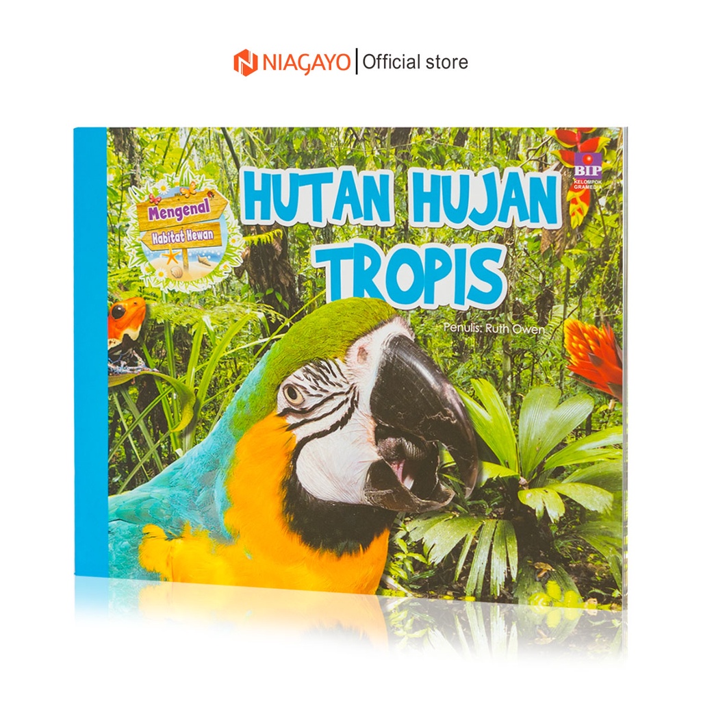 Jual Buku Anak TK PAUD Belajar Mengenal Habitat Hewan Hutan Hujan