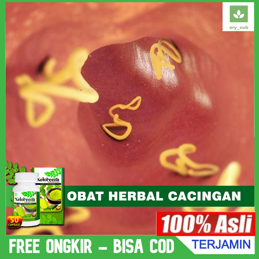 Jual Obat Cacingan Cacing Kremi Cacing Pipih Cacing Tambang