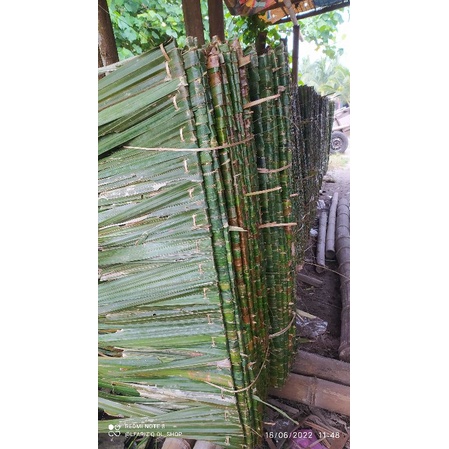Jual atap dahon rumbia/pcs | Shopee Indonesia