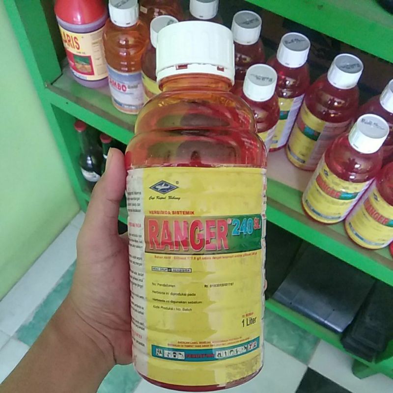 Jual Ranger 240 Sl Herbisida Sistemik Pembasmi Gulma Kemasan 1 Liter