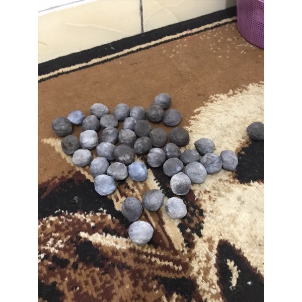 Jual muncang adu Yanti si raja batok tebal | Shopee Indonesia