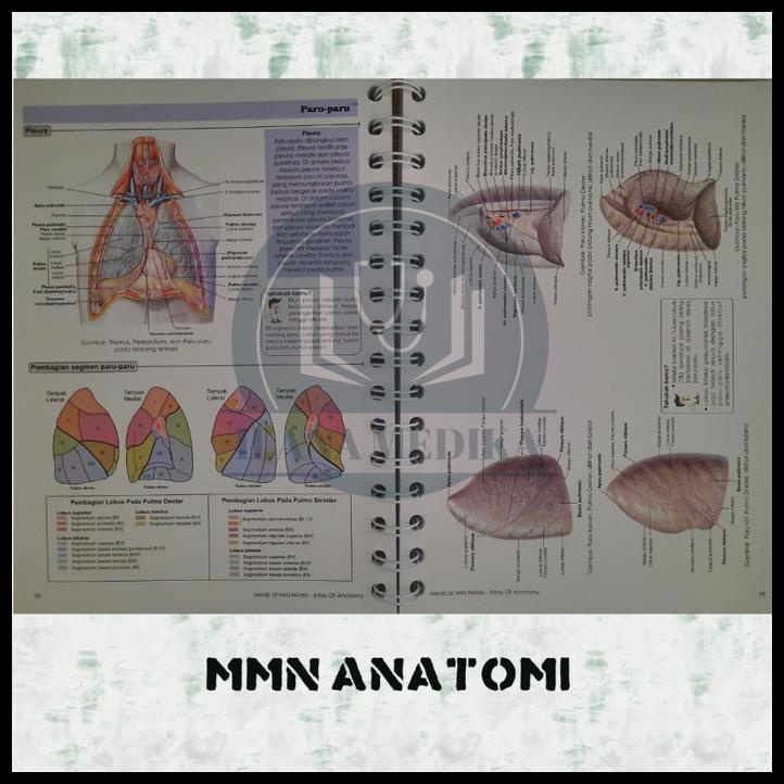 Jual TERBARUU!! Medical Mini Notes Mini Atlas Of Anatomy/MMN Atlas ...