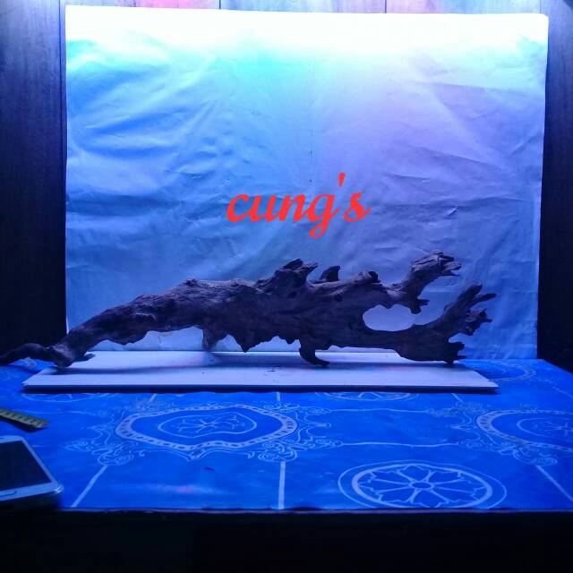 Jual Akar kayu rentek aquascape&predator | Shopee Indonesia