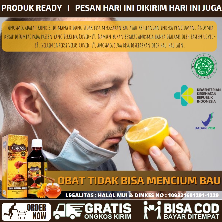 Jual OBAT ALAMI UNTUK KELAINAN PADA HIDUNG, HIDUNG MELER, HIDUNG