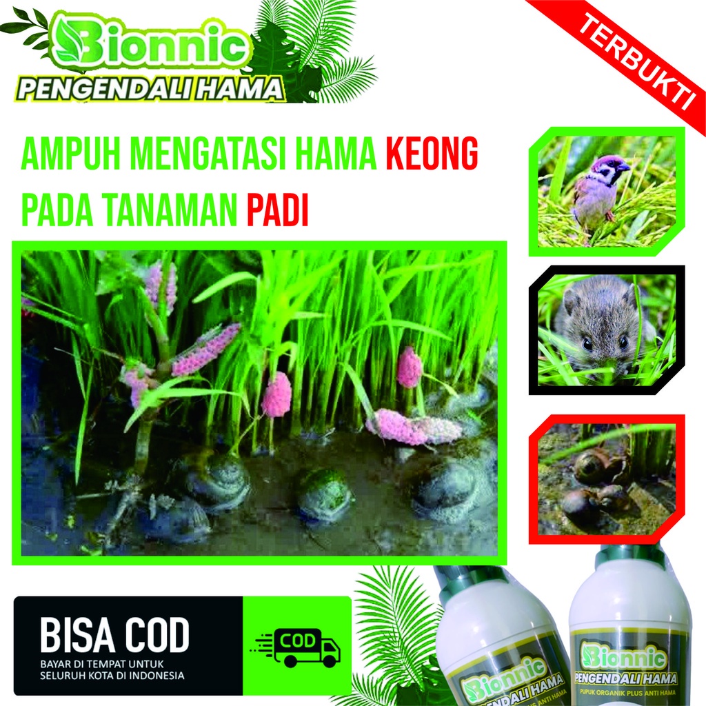 Jual Promo Puncak Obat Hama Siput Kecil Padi Paling Ampuh Bionnic Ml Obat Pembasmi