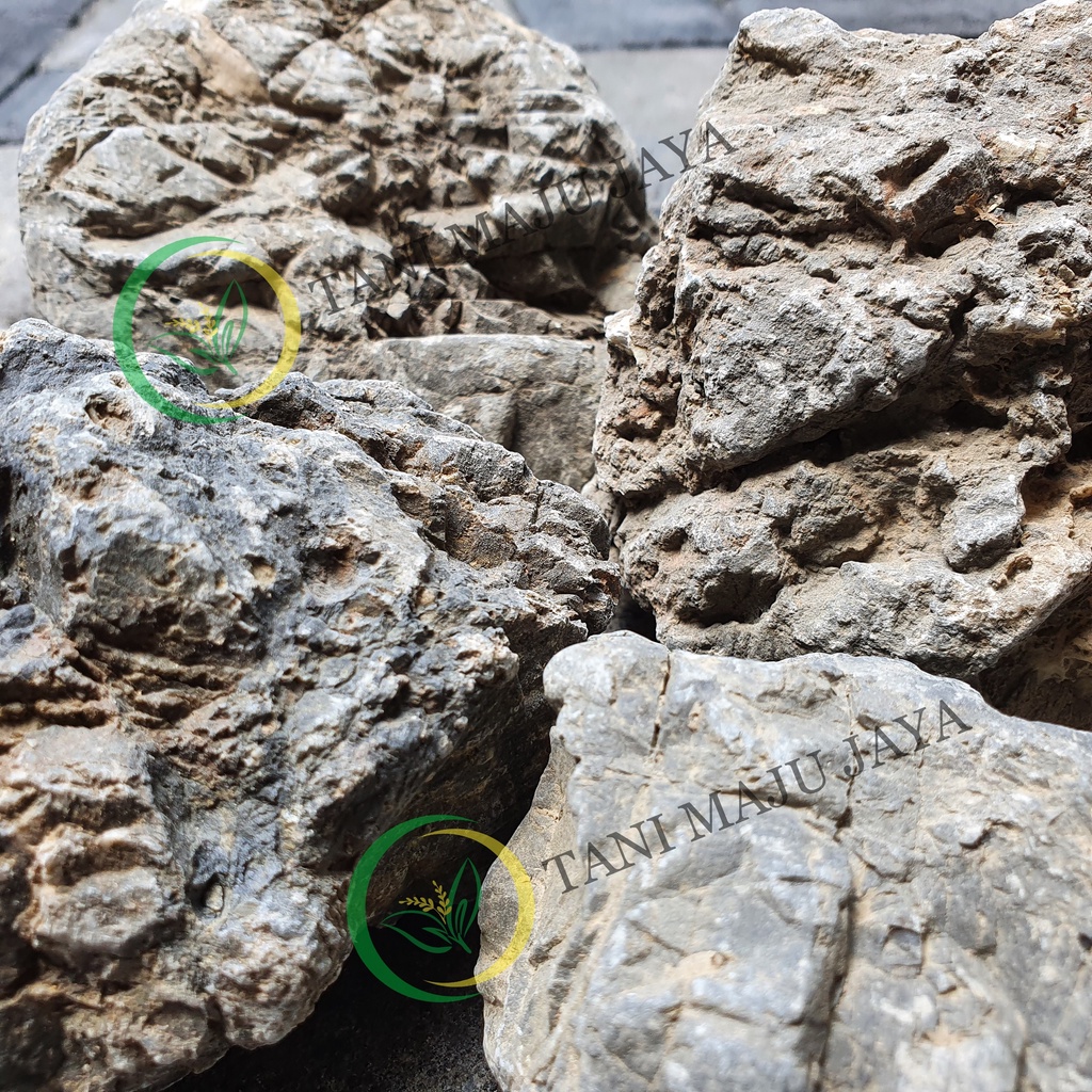 Jual Batu Turly / Turley / Turli Batu Hias Dekorasi Hardscape Aquascape ...