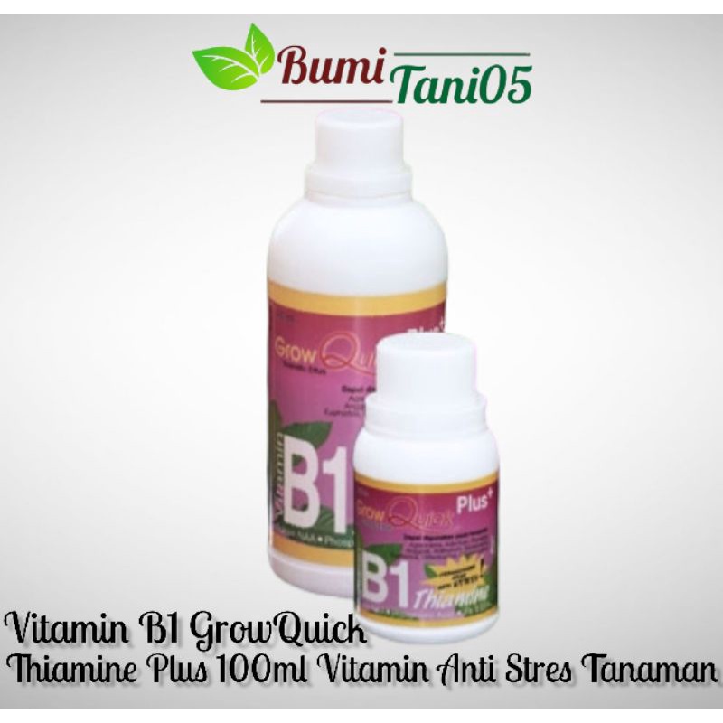 Jual Pupuk Grow Quick Vitamin B1 Plus Thiamine 100ml Anti Stres Tanaman ...