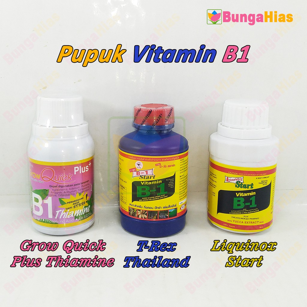 Jual Pupuk Vitamin B1 100 ML Tanaman Dan Bunga Liquinox / T-Rex ...