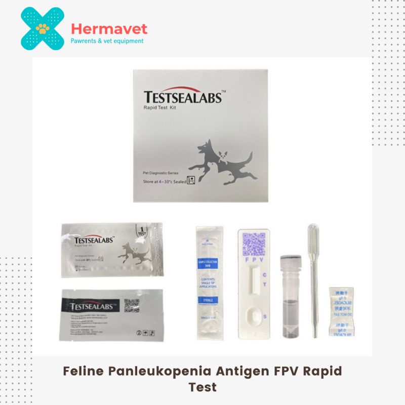 Jual Test Antigen Feline Panleukopenia FPV Rapid Test Kucing ...