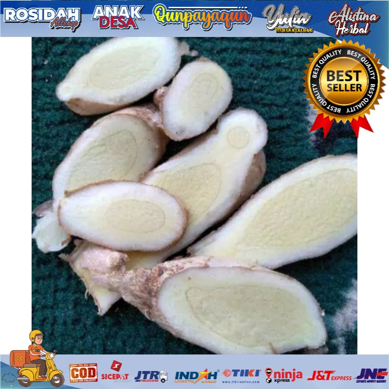 Jual Kunyit Putih Curcuma Herbal Segar 1kg Shopee Indonesia 1049