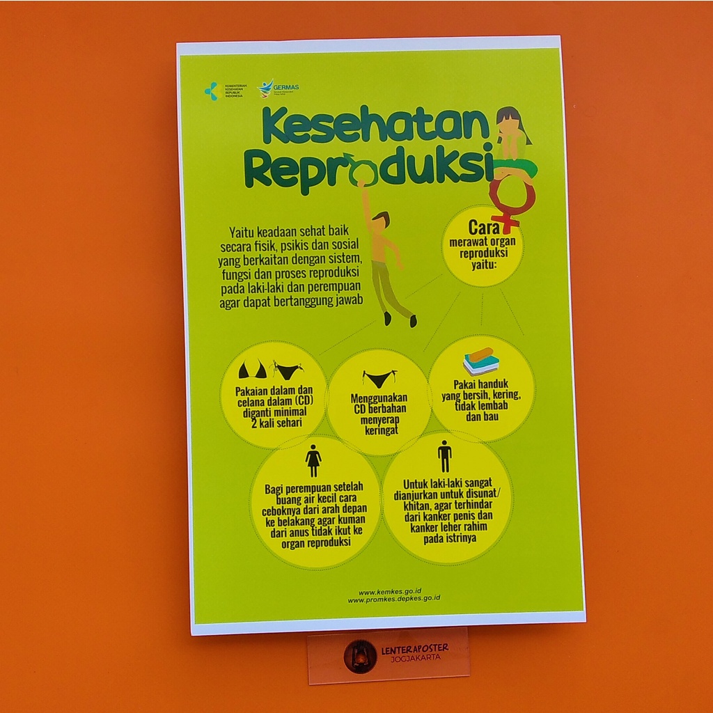 Jual Poster Kesehatan Reproduksi (Kespro), Poster Kedokteran, Poster ...