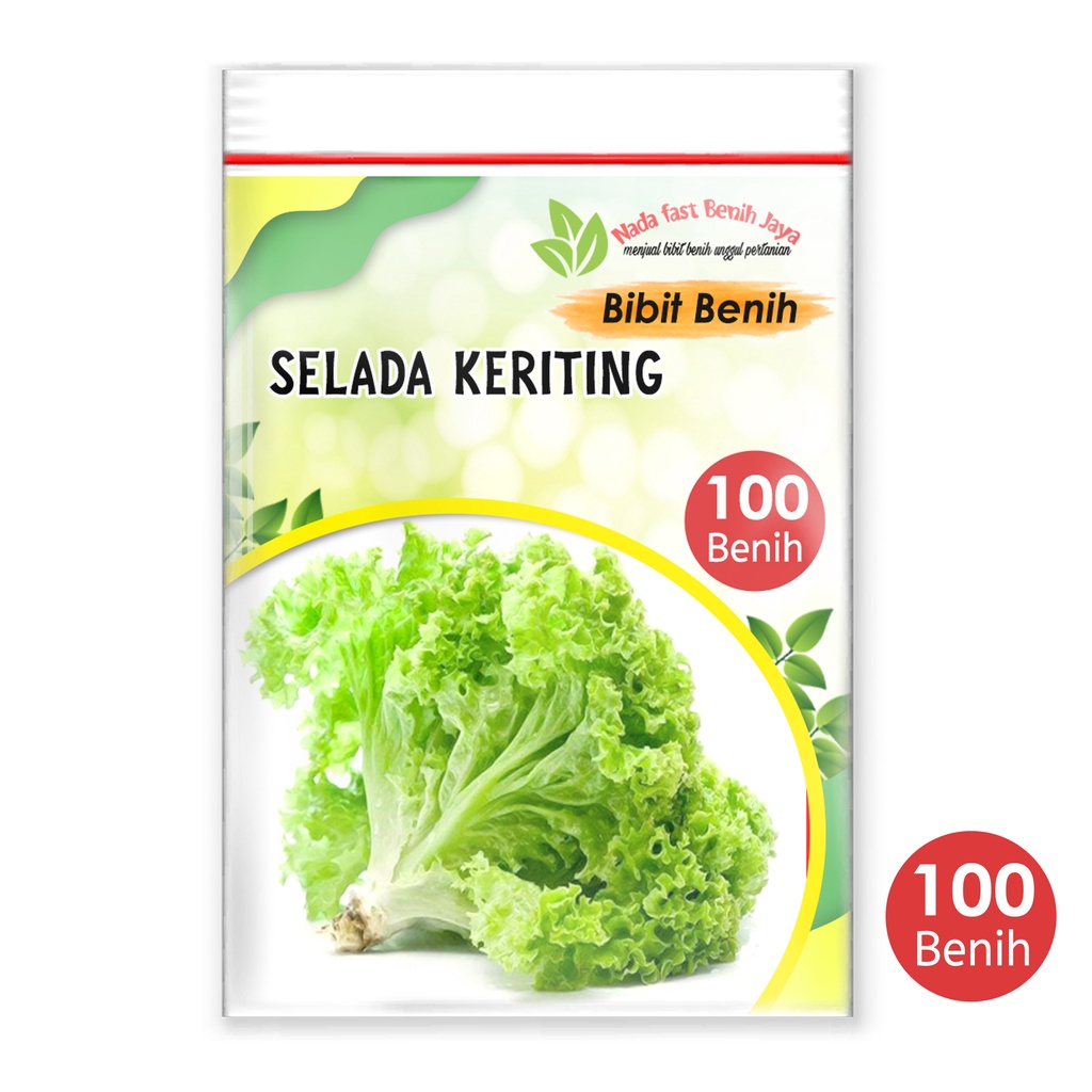 Nada fast benih jaya - 100 biji Benih sayur Selada keriting / Bibit sayuran selada air