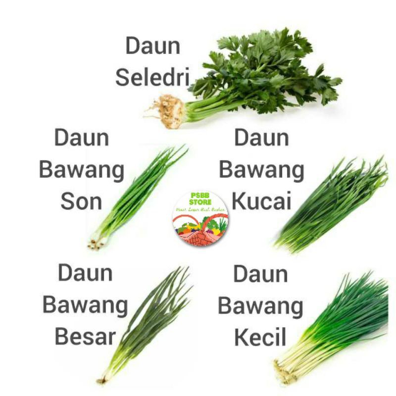 Jual Pasar Gubeng Sayur Segar Daun Seledri Daun Bawang Besar Kecil Kucai Per Ikat