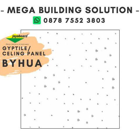 Jual 1 DUS Byhua Ceiling Panel/Gyptile - 600x1200 Mm - Plafon Akustik ...