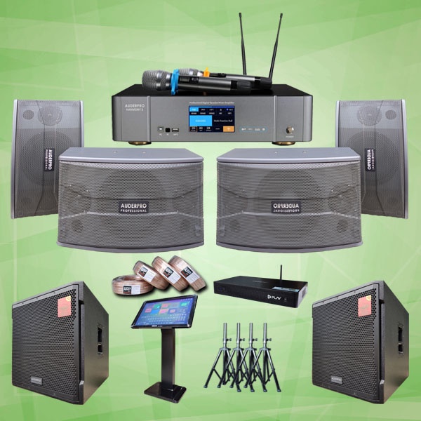 Jual PAKET KARAOKE DIGITAL SOUND SYSTEM D1 MIXER + SPEAKER AUDERPRO 12