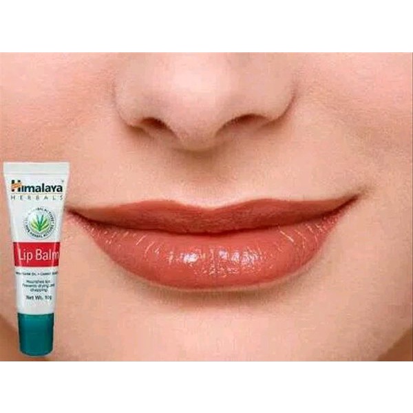 Jual Himalaya Herbals Lip Balm - 10 Gr | Shopee Indonesia