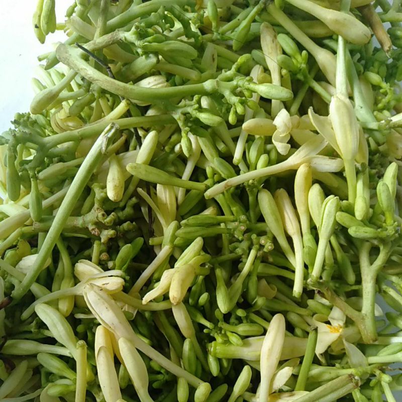 Jual Bunga Pepaya / Kembang Kates Lanang / Bunga kates Gantung segar ...